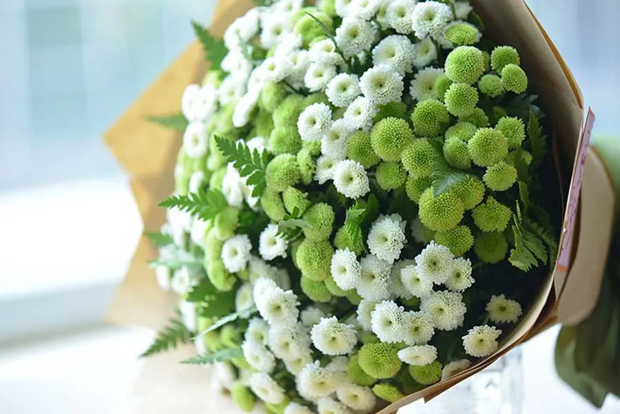 Cung Bạch Dương là tháng mấy? Top 11 quà cho cung Bạch Dương ý nghĩa