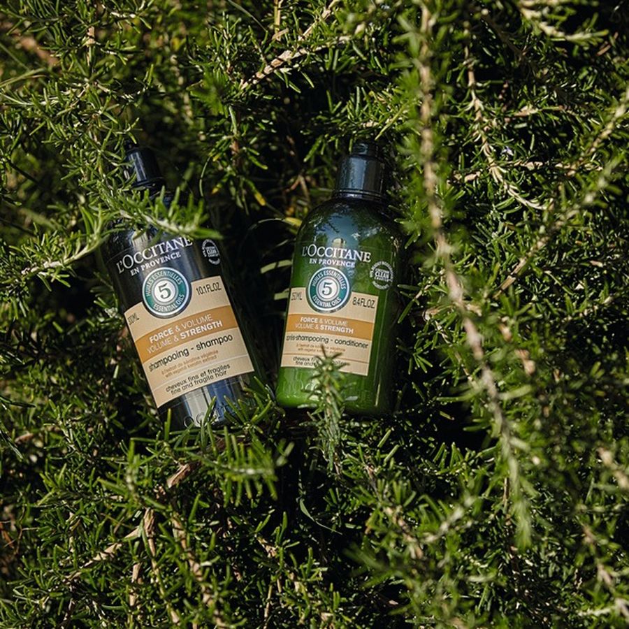 Gợi ý top 8 dầu gội cho tóc dầu và rụng nhiều hiệu quả nhanh chóng - 9