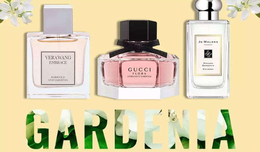 Top 9 chai nước hoa Gardenia rất thơm đang thịnh hành - 1