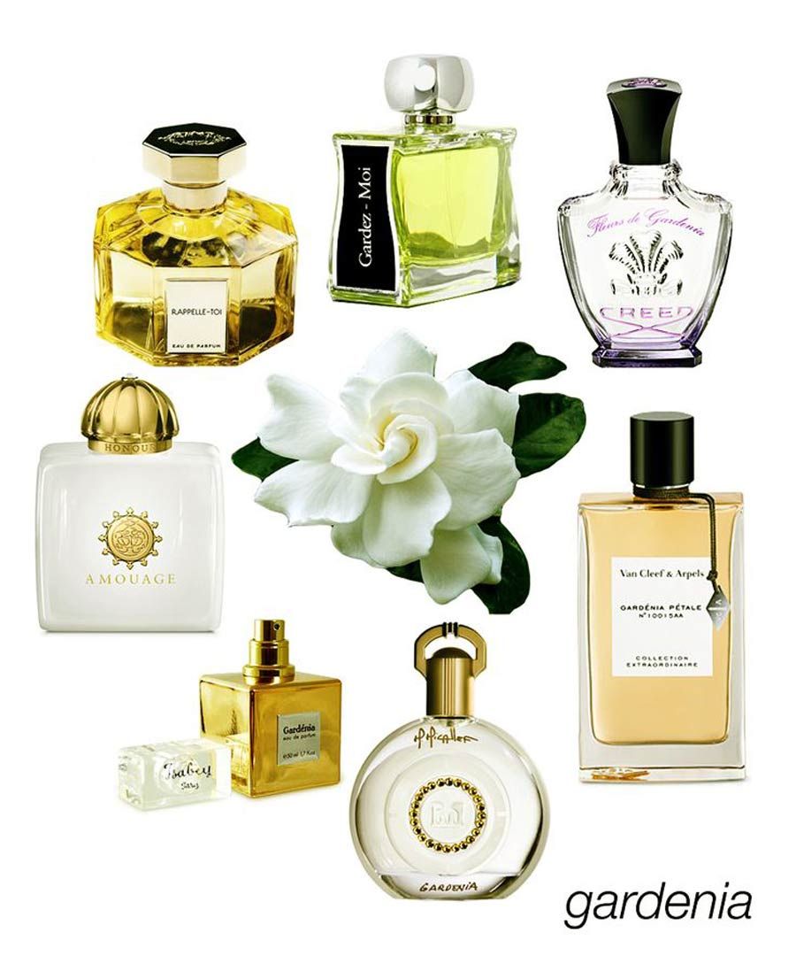 Top 9 chai nước hoa Gardenia rất thơm đang thịnh hành - 2