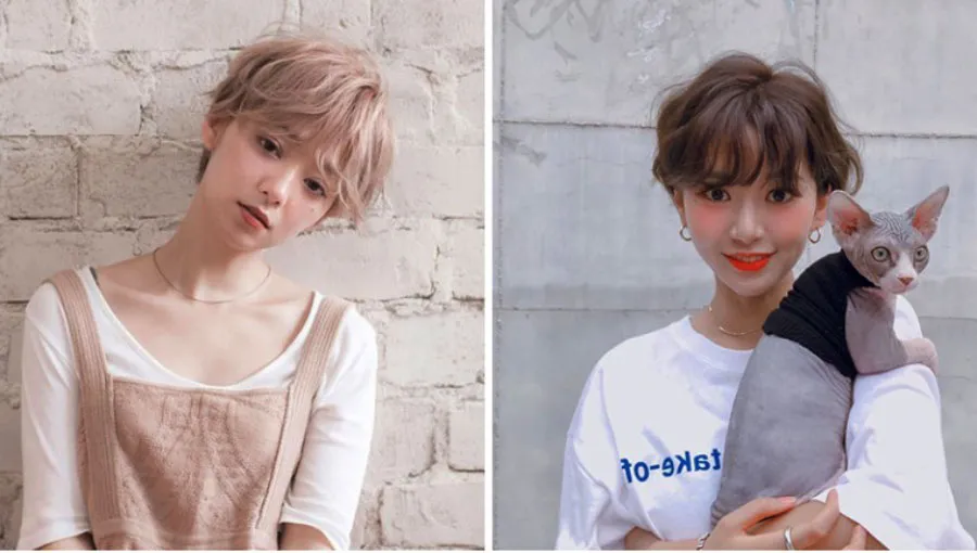 Tóc pixie là gì? 10 kiểu tóc pixie cá tính đang rất phổ biến hiện nay