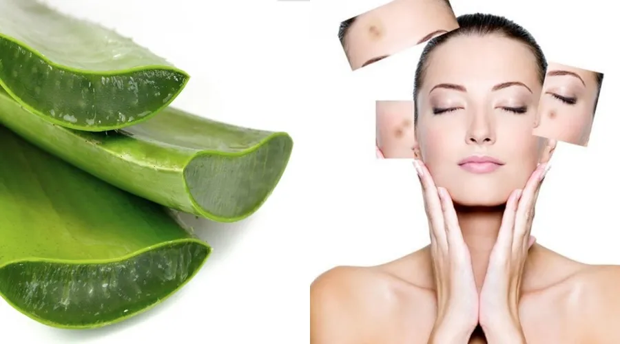 Ăn gì để sẹo lõm nhanh đầy? 10 món ăn tốt cho da bị sẹo lõm - 4