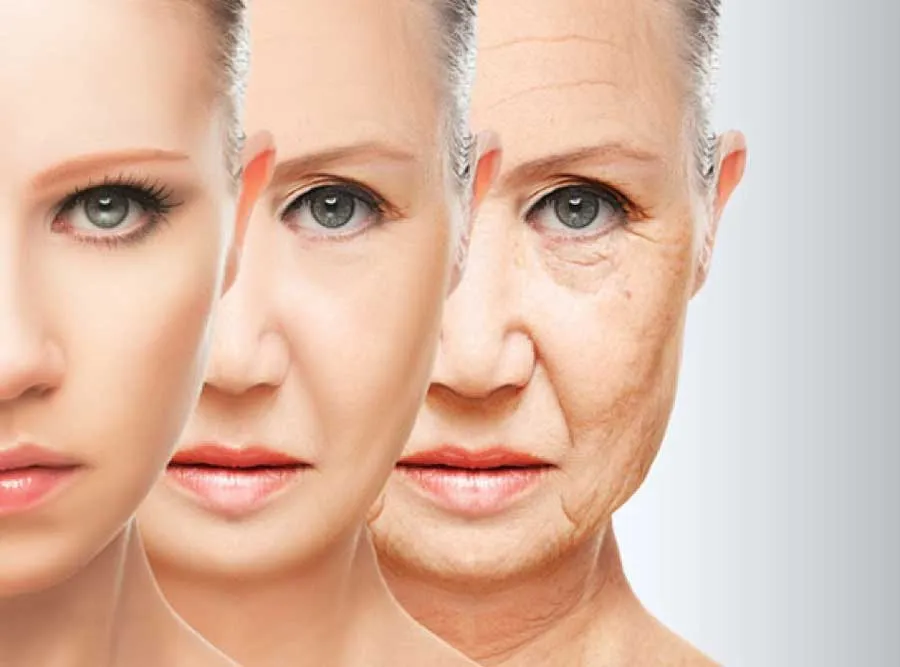 3 cách kết hợp Niacinamide và BHA dưỡng da hoàn hảo - 3