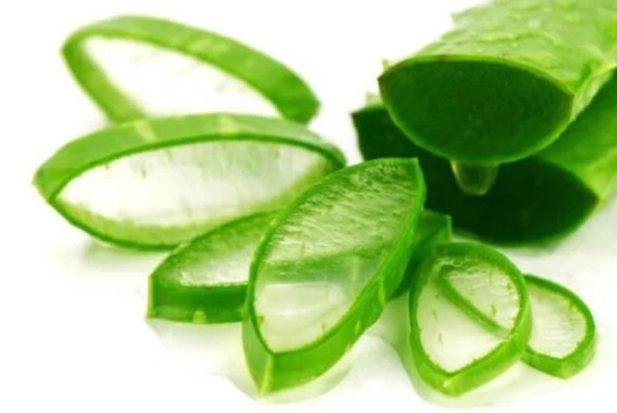 Top 10 cách trị ngứa da đầu tận gốc nhanh chóng
