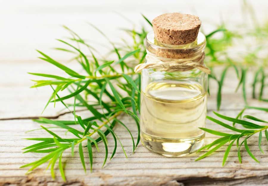 Top 10 cách trị ngứa da đầu tận gốc nhanh chóng