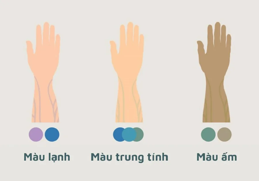 Da Ngăm Là Gì? Chọn Màu Quần Áo Màu Gì Tôn Sáng Da Tự Tin Hơn