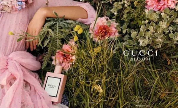 Nước Hoa Nữ Gucci Bloom For Women EDP 100ml - Nước hoa - Vua Hàng Hiệu
