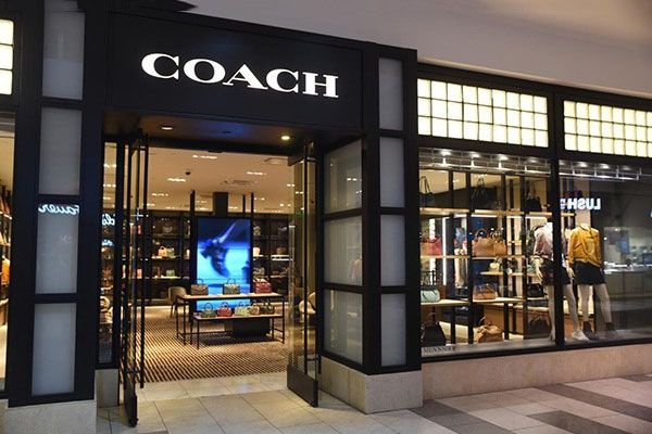 Kính Mát Coach Women Dark Tortoise Sunglasses HC8330F-565973 56 Màu Nâu - Kính mắt - Vua Hàng Hiệu