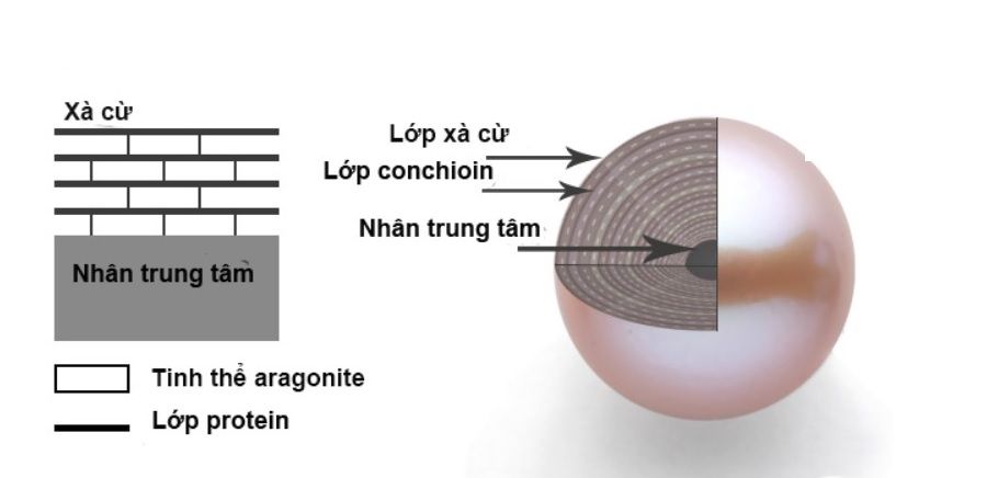 9 cách phân biệt ngọc trai thật và giả chính xác