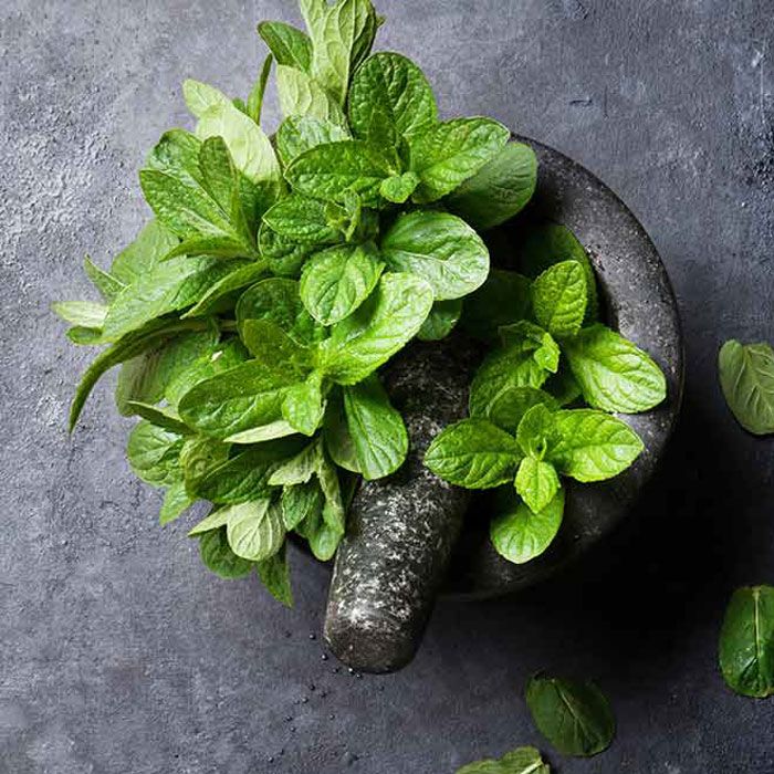 10 lợi ích của bạc hà với làn da và 11 cách làm đẹp tại nhà - 3