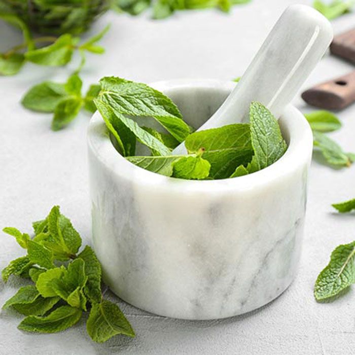 10 lợi ích của bạc hà với làn da và 11 cách làm đẹp tại nhà - 2