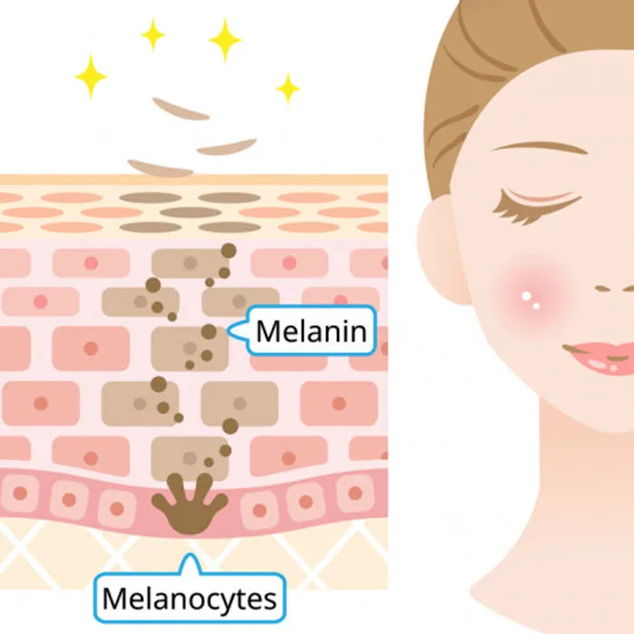 Melanin là gì? Lợi ích với làn da và những rối loạn liên quan - 5