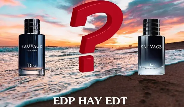 So sánh nước hoa Sauvage EDP & EDT, phiên bản nào thơm hơn? - 4