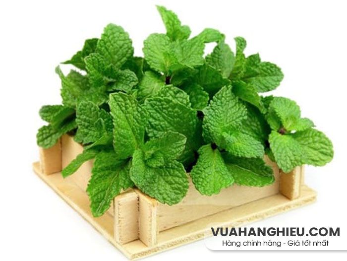 20 công thức làm mặt nạ dưa chuột dưỡng da tại nhà - 11