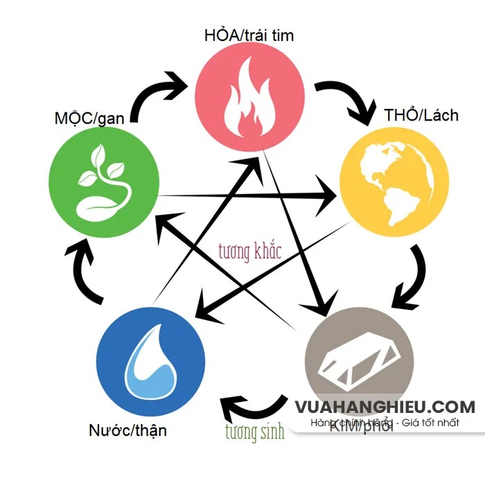 Người mệnh Mộc đeo nhẫn ngón nào để thu hút tài lộc, may mắn?
