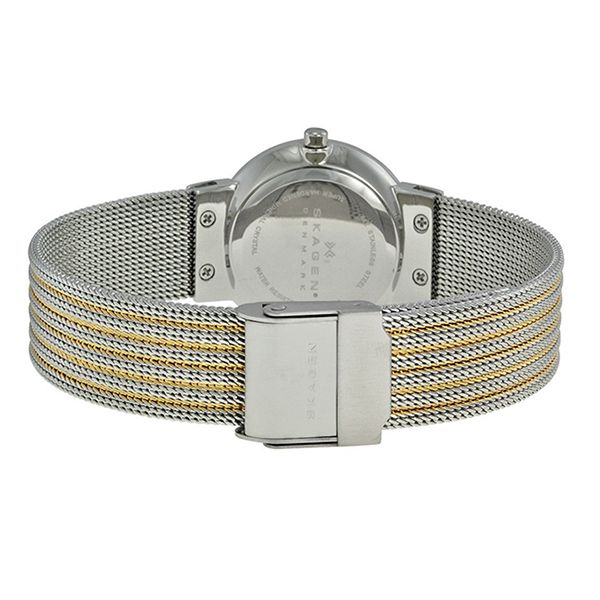 Đồng Hồ Nữ Skagen 355SSGS Màu Bạc - Đồng hồ - Vua Hàng Hiệu