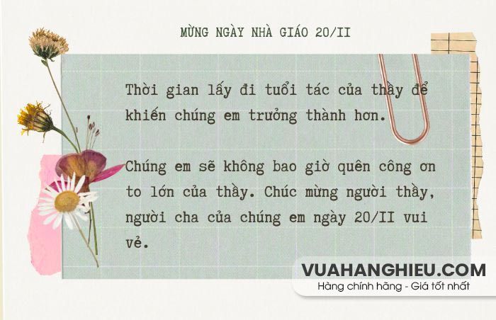 Tổng hợp 40+ lời chúc 20/11 ý nghĩa, rất hay tặng thầy cô giáo