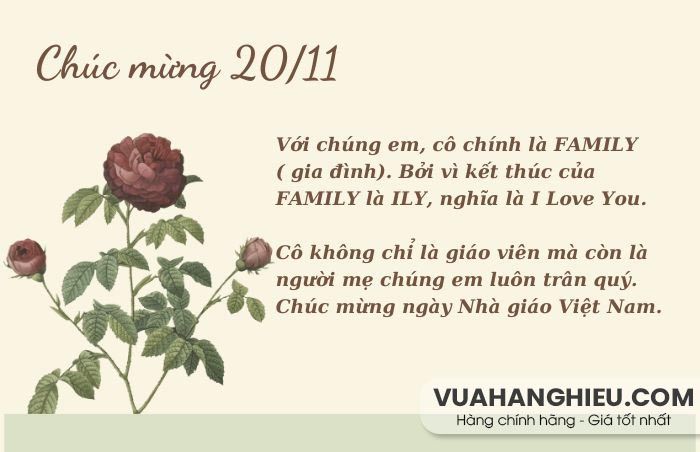 Tổng hợp 40+ lời chúc 20/11 ý nghĩa, rất hay tặng thầy cô giáo