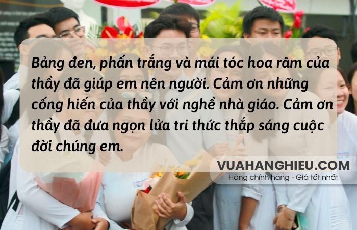 Tổng hợp 40+ lời chúc 20/11 ý nghĩa, rất hay tặng thầy cô giáo
