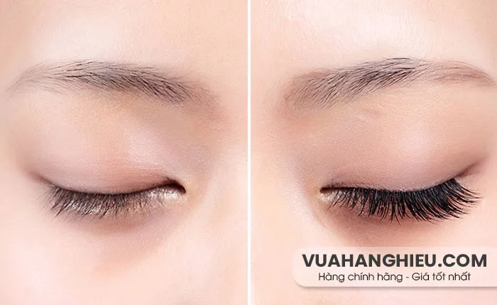 12 Cách chăm sóc mi sau nối luôn bền đẹp không lo rụng