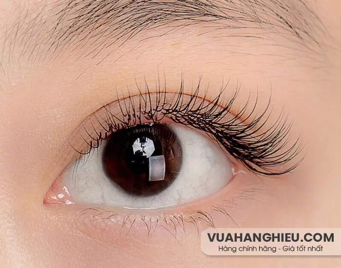 12 Cách chăm sóc mi sau nối luôn bền đẹp không lo rụng