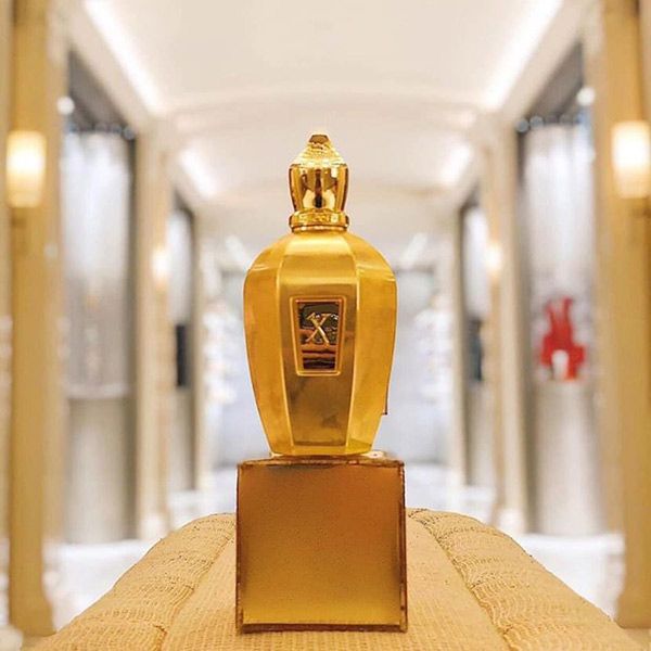 Nước Hoa Unisex Xerjoff Accento Overdose Eau De Parfum 100ml - Nước hoa - Vua Hàng Hiệu