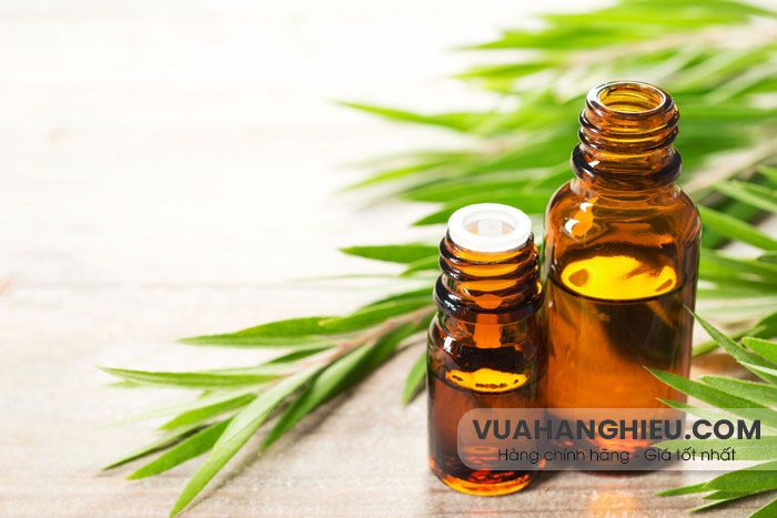 12 cách hỗ trợ cải thiện da khô mụn hiệu quả tại nhà từ thiên nhiên - 10