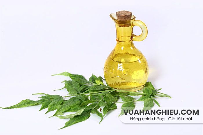 12 cách hỗ trợ cải thiện da khô mụn hiệu quả tại nhà từ thiên nhiên - 3