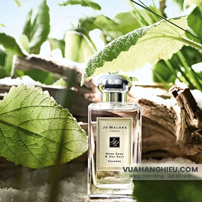 Top 9 mùi nước hoa lạ siêu cuốn hút rất phổ biến hiện nay  - 15