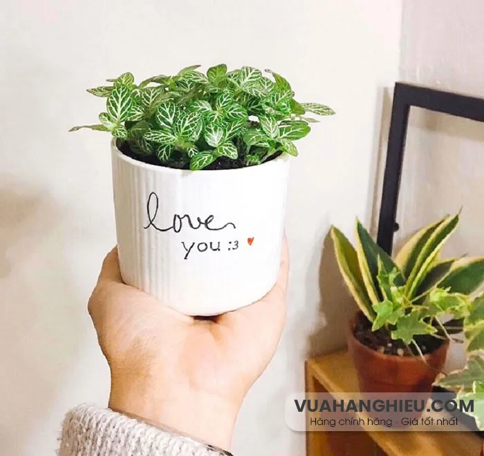 Top 70+ món quà tặng sinh nhật cho bạn trai ấn tượng và bất ngờ