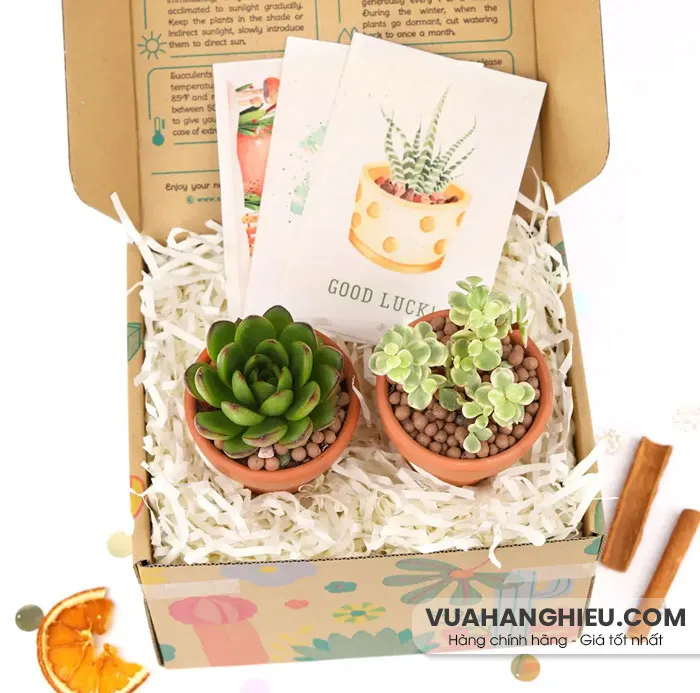 Top 30 quà tặng 8/3 cho bạn gái, người yêu ấn tượng - 15