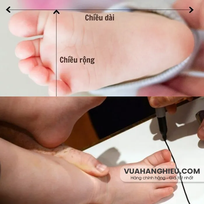 Bảng size giày trẻ em Việt Nam, Quốc tế đầy đủ, chính xác