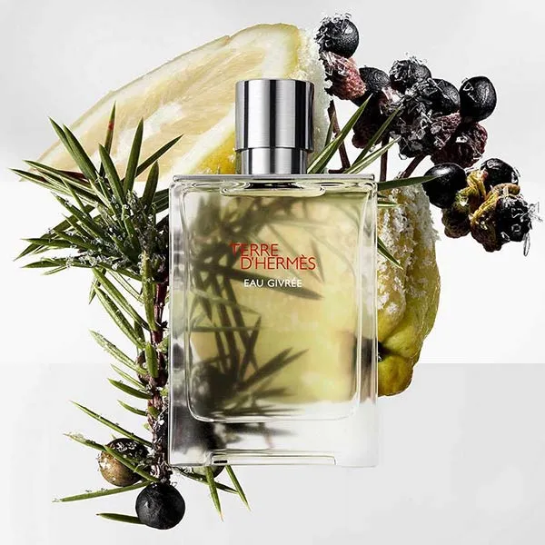 Nước Hoa Nam Hermès Terre D'Hermes Eau Givree EDP 100ml - Nước hoa - Vua Hàng Hiệu