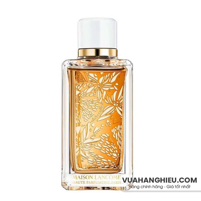 Top 16 nước hoa hương chanh tươi thanh mát dễ chịu cả ngày