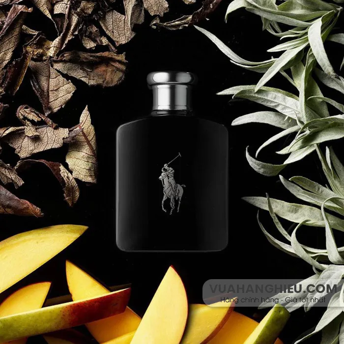 Review nước hoa Polo mùi nào rất thơm? Lưu hương lâu?