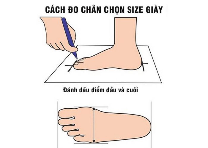 Bảng size giày Nike nam nữ cực chuẩn