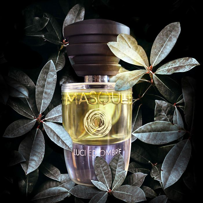 Top 5 chai nước hoa hương gỗ Síp bán chạy hiện nay  - 4