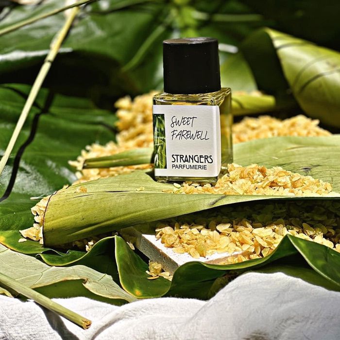 Top 7 chai nước hoa hương thực phẩm được yêu rất thích - 9