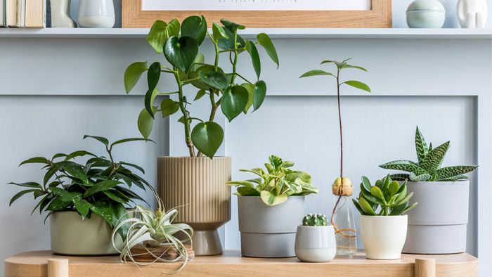 Top 30+ quà tặng cho mẹ chồng vào ngày sinh nhật, ngày lễ