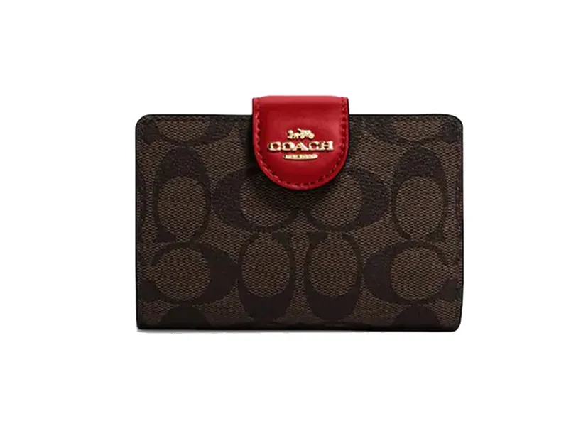 Top 11 mẫu ví cầm tay nữ hàng hiệu đẹp sang chảnh  - 4