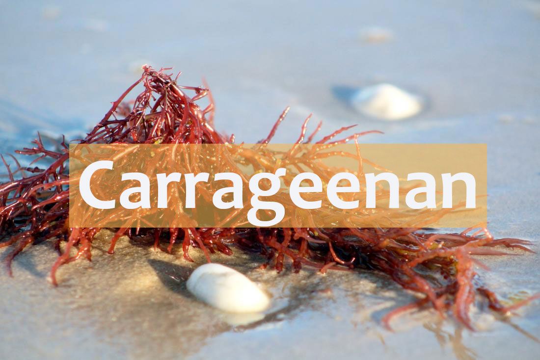 10 thành phần gây mụn trong mỹ phẩm mà chị em nên tránh  - 9