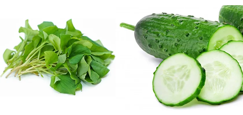 10 cách làm mặt nạ diếp cá hỗ trợ làm sạch mụn sáng da tại nhà - 11