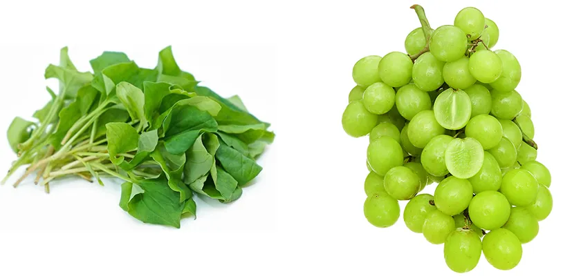 10 cách làm mặt nạ diếp cá hỗ trợ làm sạch mụn sáng da tại nhà - 12