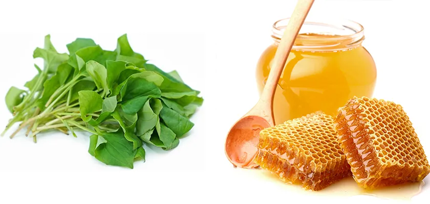 10 cách làm mặt nạ diếp cá hỗ trợ làm sạch mụn sáng da tại nhà - 4