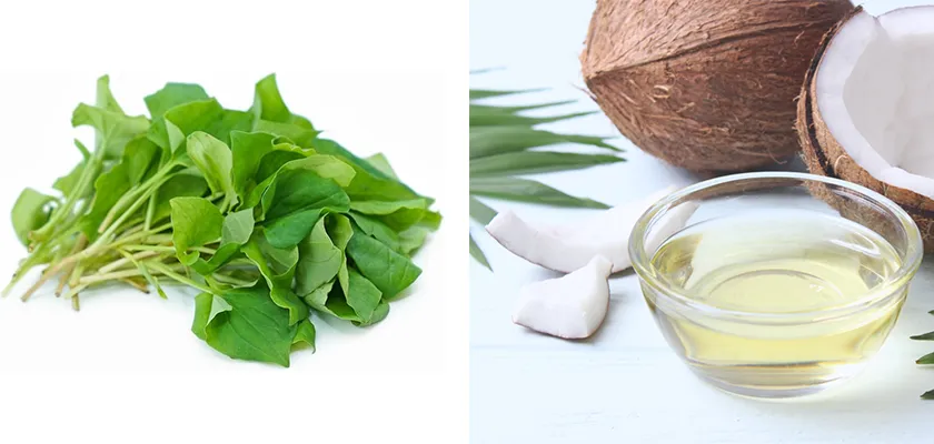 10 cách làm mặt nạ diếp cá hỗ trợ làm sạch mụn sáng da tại nhà - 3