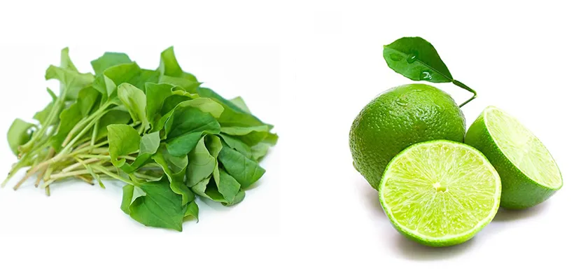 10 cách làm mặt nạ diếp cá hỗ trợ làm sạch mụn sáng da tại nhà - 5