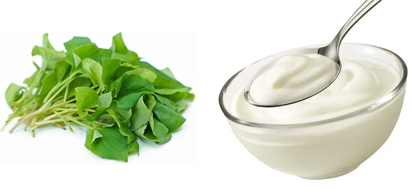 10 cách làm mặt nạ diếp cá hỗ trợ làm sạch mụn sáng da tại nhà - 6