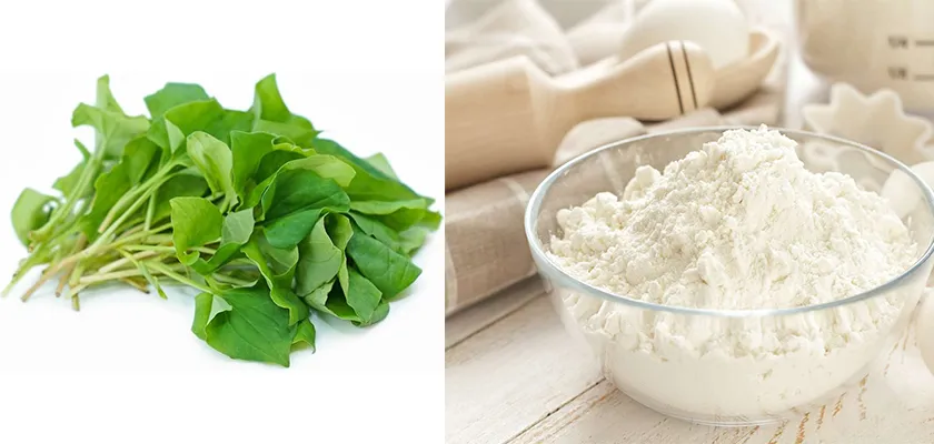 10 cách làm mặt nạ diếp cá hỗ trợ làm sạch mụn sáng da tại nhà - 7