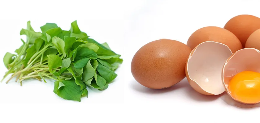 10 cách làm mặt nạ diếp cá hỗ trợ làm sạch mụn sáng da tại nhà - 8