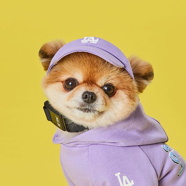 Mũ Cho Pet MLB Logo LA Dodgers 72PEC1111-07V Màu Tím - Mũ nón - Vua Hàng Hiệu